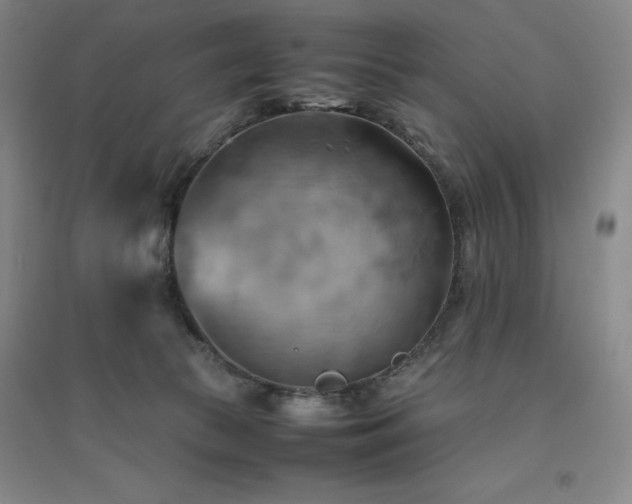 X0000094800177200711161506