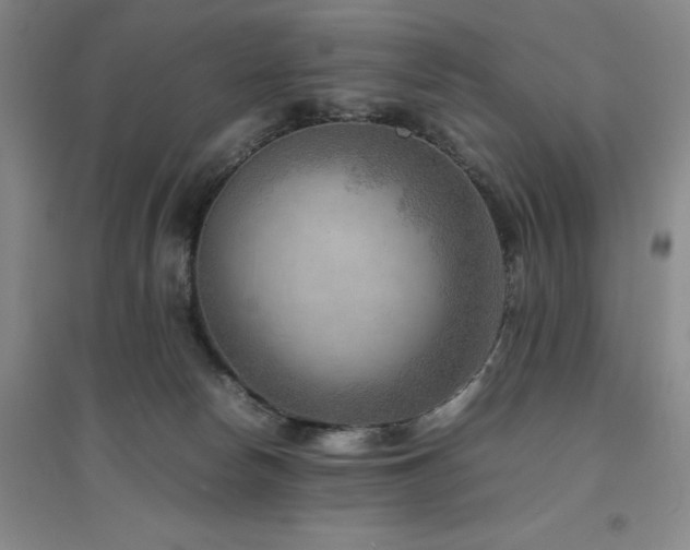 X0000094800178200711161506