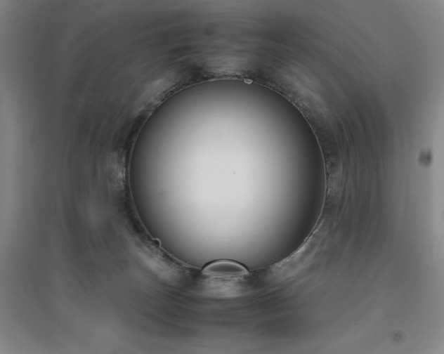 X0000094800179200711161506