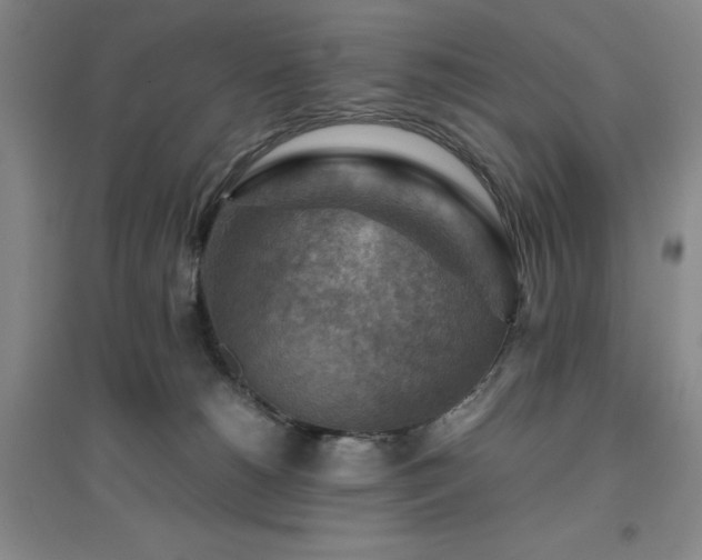 X0000094800180200711161506