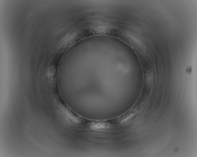 X0000094800181200711161506