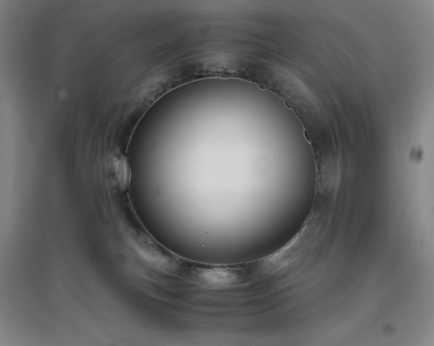 X0000094800183200711161506