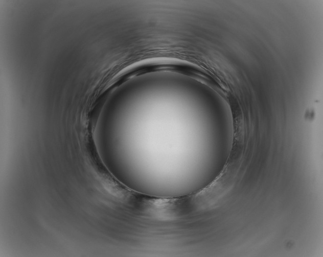 X0000094800184200711161506