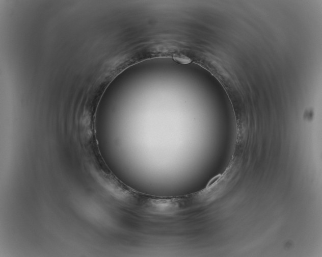 X0000094800187200711161506