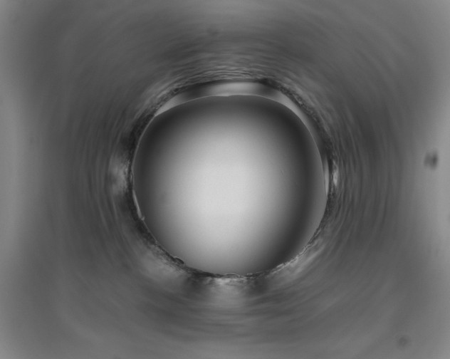 X0000094800188200711161506