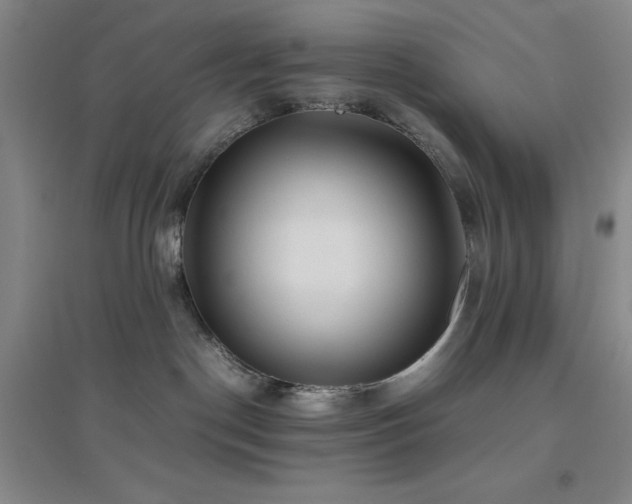 X0000094800190200711161506