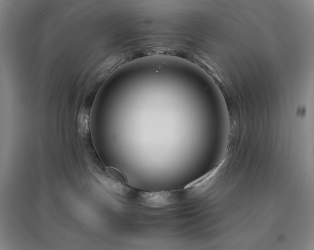 X0000094800191200711161506