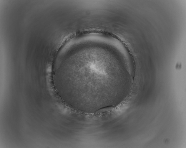 X0000094800192200711161506