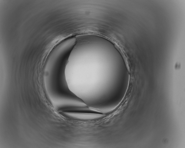 X0000094800193200711161506