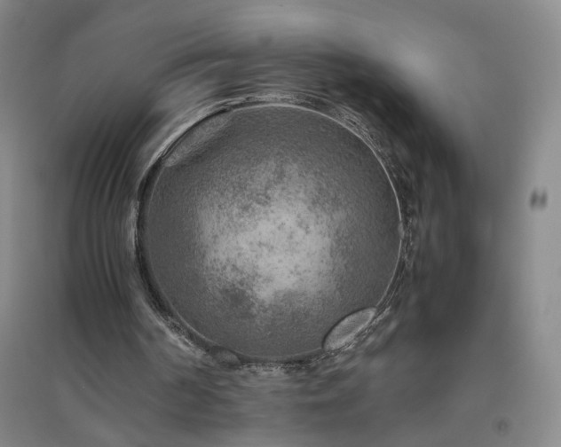X0000094800194200711161506