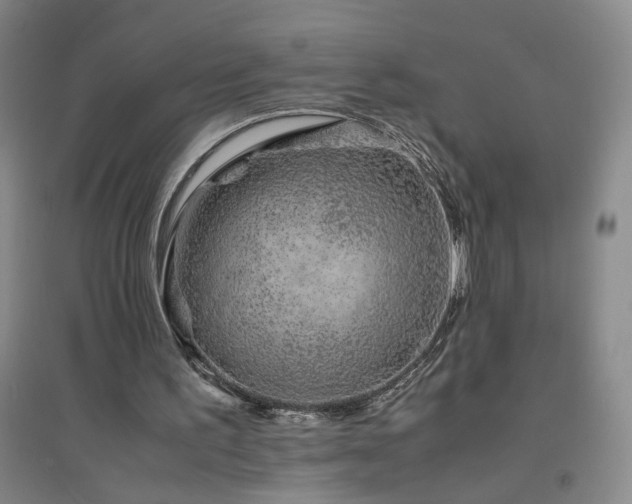 X0000094800195200711161506