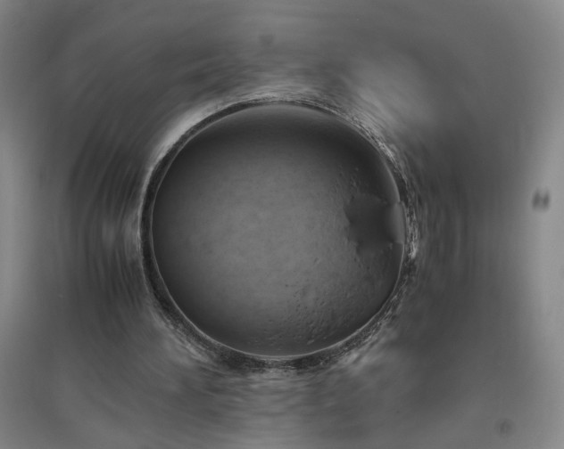 X0000094800196200711161506