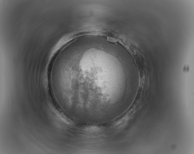 X0000094800198200711161506