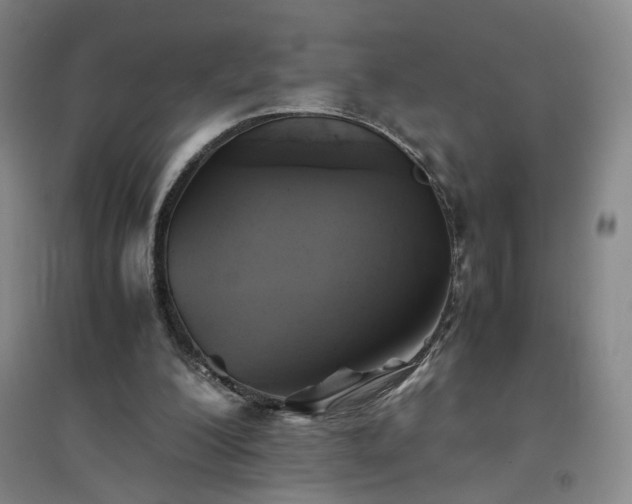 X0000094800200200711161506