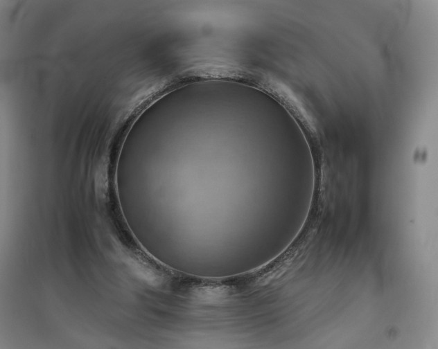 X0000094800202200711161506