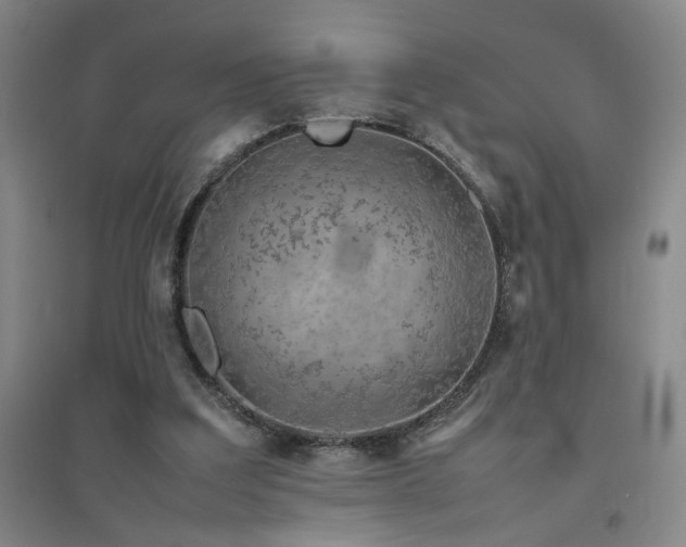 X0000094800203200711161506