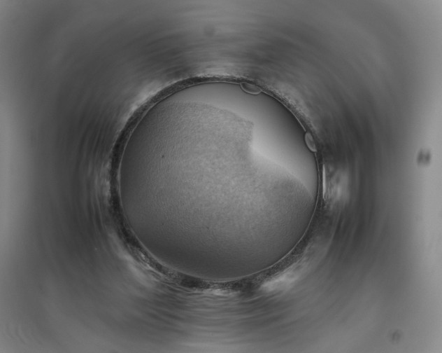 X0000094800204200711161506