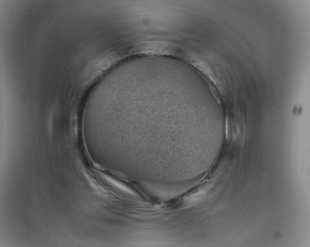 X0000094800205200711161506