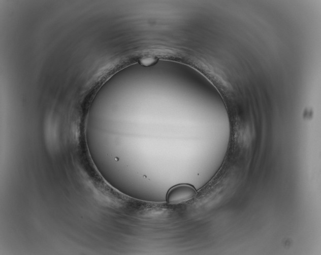 X0000094800206200711161506