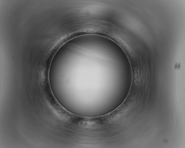 X0000094800208200711161506