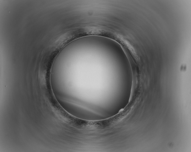 X0000094800209200711161506