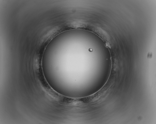 X0000094800210200711161506
