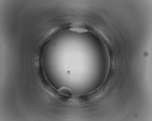 X0000094800211200711161506