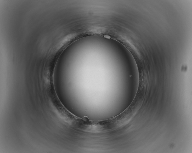 X0000094800212200711161506