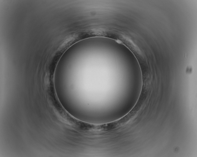 X0000094800213200711161506