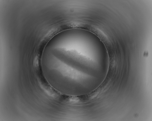 X0000094800214200711161506