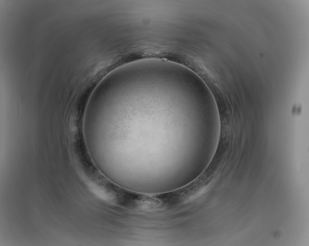 X0000094800215200711161506