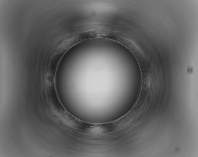 X0000094800218200711161505