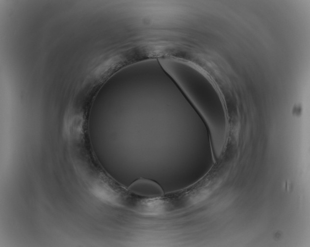 X0000094800219200711161505
