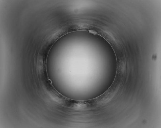 X0000094800220200711161505