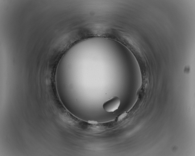 X0000094800221200711161505