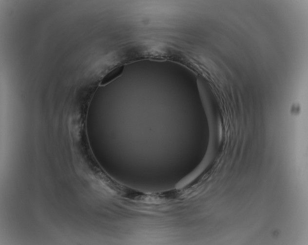 X0000094800223200711161505