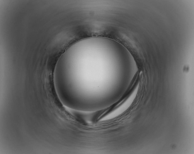 X0000094800225200711161505