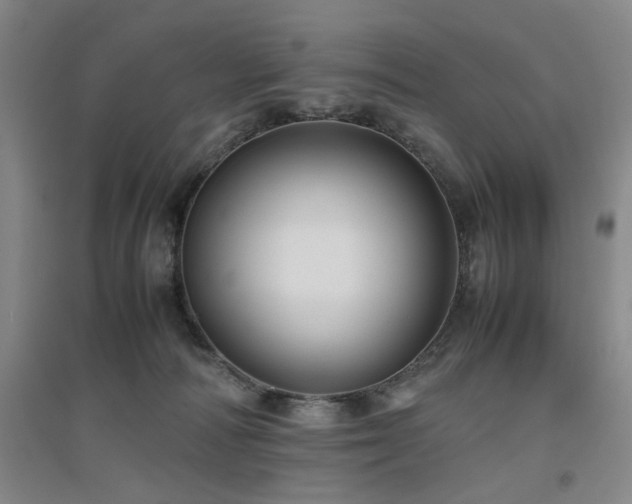 X0000094800226200711161505