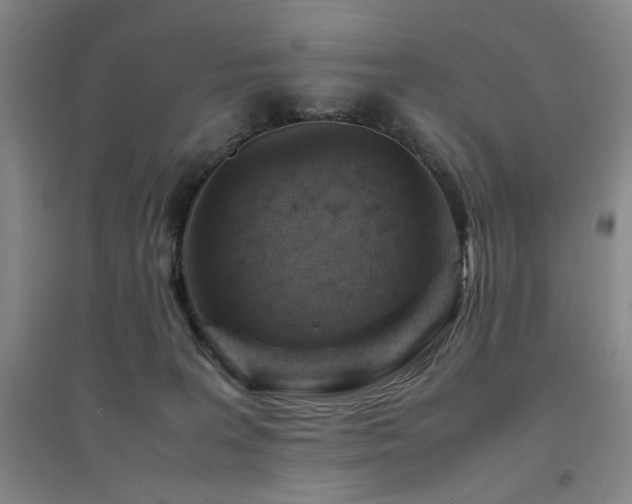 X0000094800227200711161505