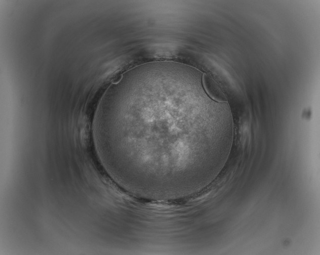 X0000094800228200711161505