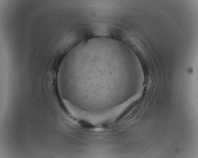 X0000094800229200711161505