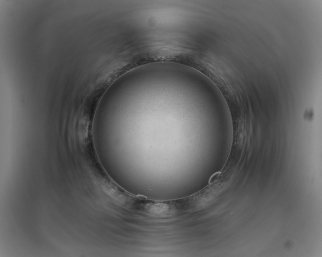 X0000094800230200711161505