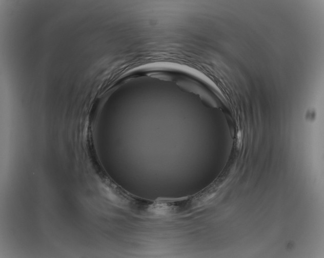 X0000094800231200711161505