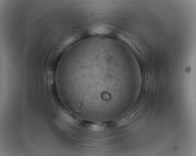 X0000094800232200711161505
