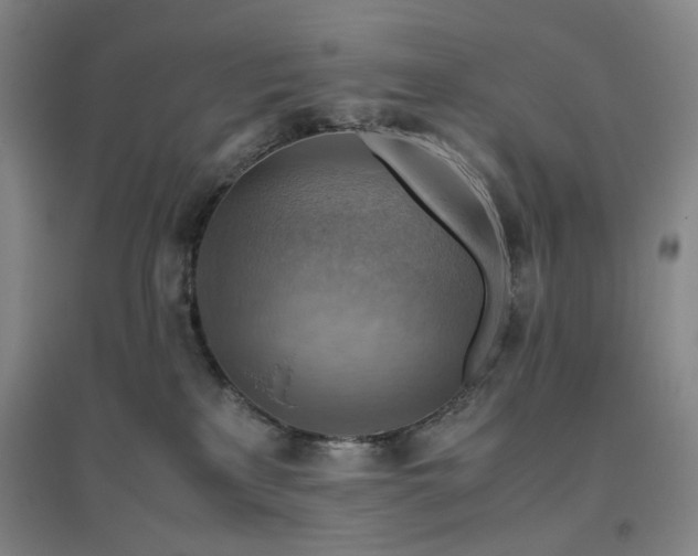 X0000094800233200711161505