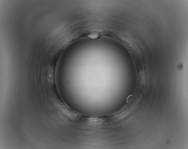 X0000094800234200711161505