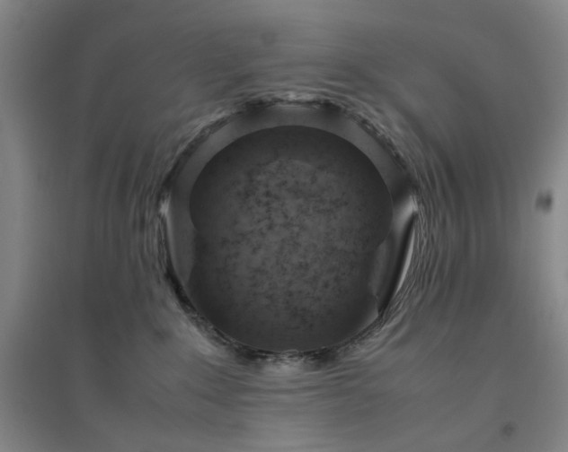 X0000094800235200711161505