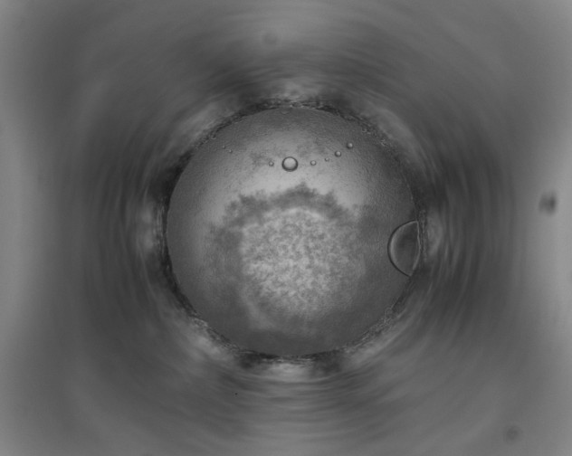 X0000094800236200711161505