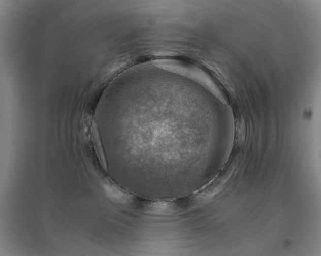 X0000094800237200711161505