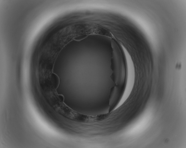 X0000094800239200711161505